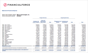 S2S Statement of Functional Expense